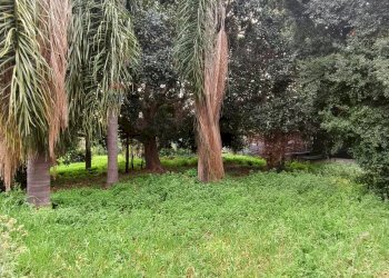 Giardino - Villa via provinciale per santa maria ammalati
 
187, Acireale - foto 12