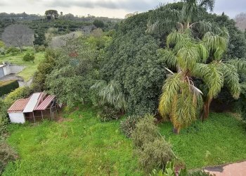 Giardino - Villa via provinciale per santa maria ammalati
 
187, Acireale - foto 32