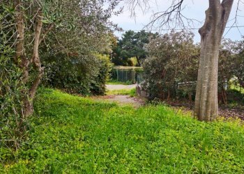 Giardino - Villa via provinciale per santa maria ammalati
 
187, Acireale - foto 35