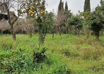 Giardino - Villa via provinciale per santa maria ammalati
 
187, Acireale - foto 38
