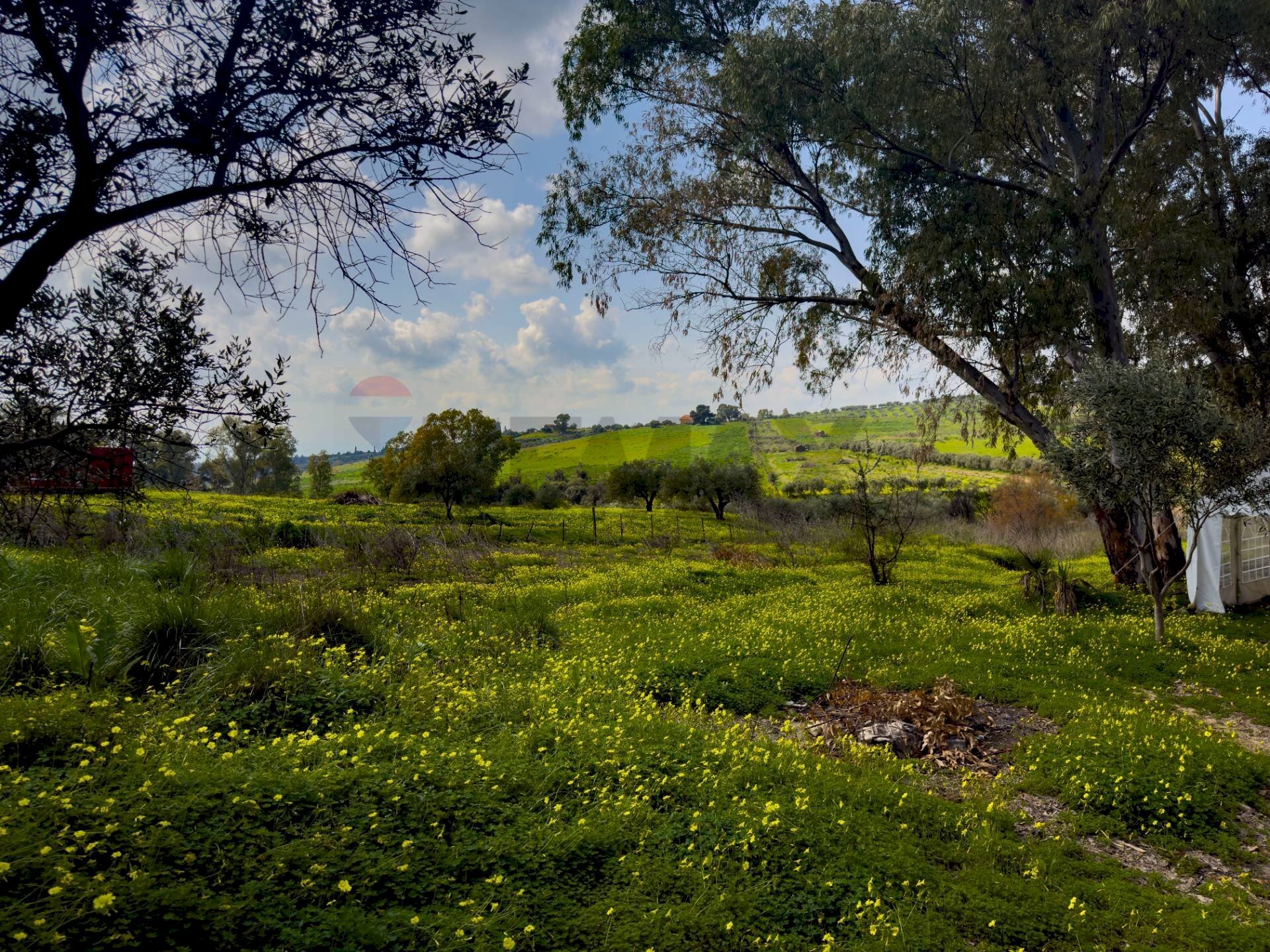 Giardino - Rustico Via Terre Nere
 
183, Motta Sant'Anastasia - foto 3
