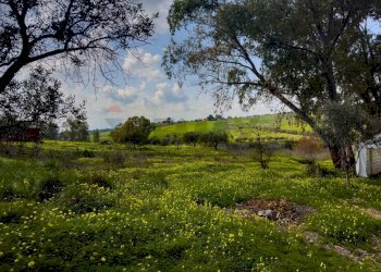 Giardino - Rustico Via Terre Nere
 
183, Motta Sant'Anastasia - foto 2