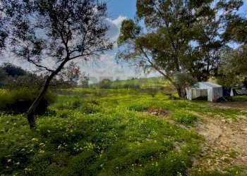 Giardino - Rustico Via Terre Nere
 
183, Motta Sant'Anastasia - foto 10