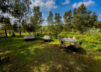 Giardino - Rustico Via Terre Nere
 
183, Motta Sant'Anastasia - foto 12