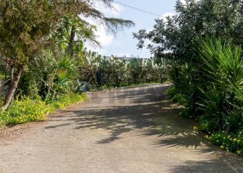 Giardino - Rustico Via Terre Nere
 
183, Motta Sant'Anastasia - foto 15