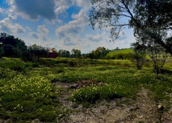 Giardino - Rustico Via Terre Nere
 
183, Motta Sant'Anastasia - foto 16