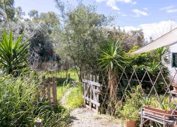 Giardino - Rustico Via Terre Nere
 
183, Motta Sant'Anastasia - foto 15