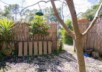 Giardino - Rustico Via Terre Nere
 
183, Motta Sant'Anastasia - foto 20