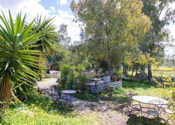 Giardino - Rustico Via Terre Nere
 
183, Motta Sant'Anastasia - foto 27