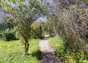 Giardino - Rustico Via Terre Nere
 
183, Motta Sant'Anastasia - foto 19