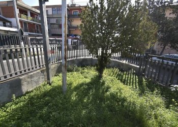 Giardino - Appartamento Via Belice
 
2, Catania - foto 34