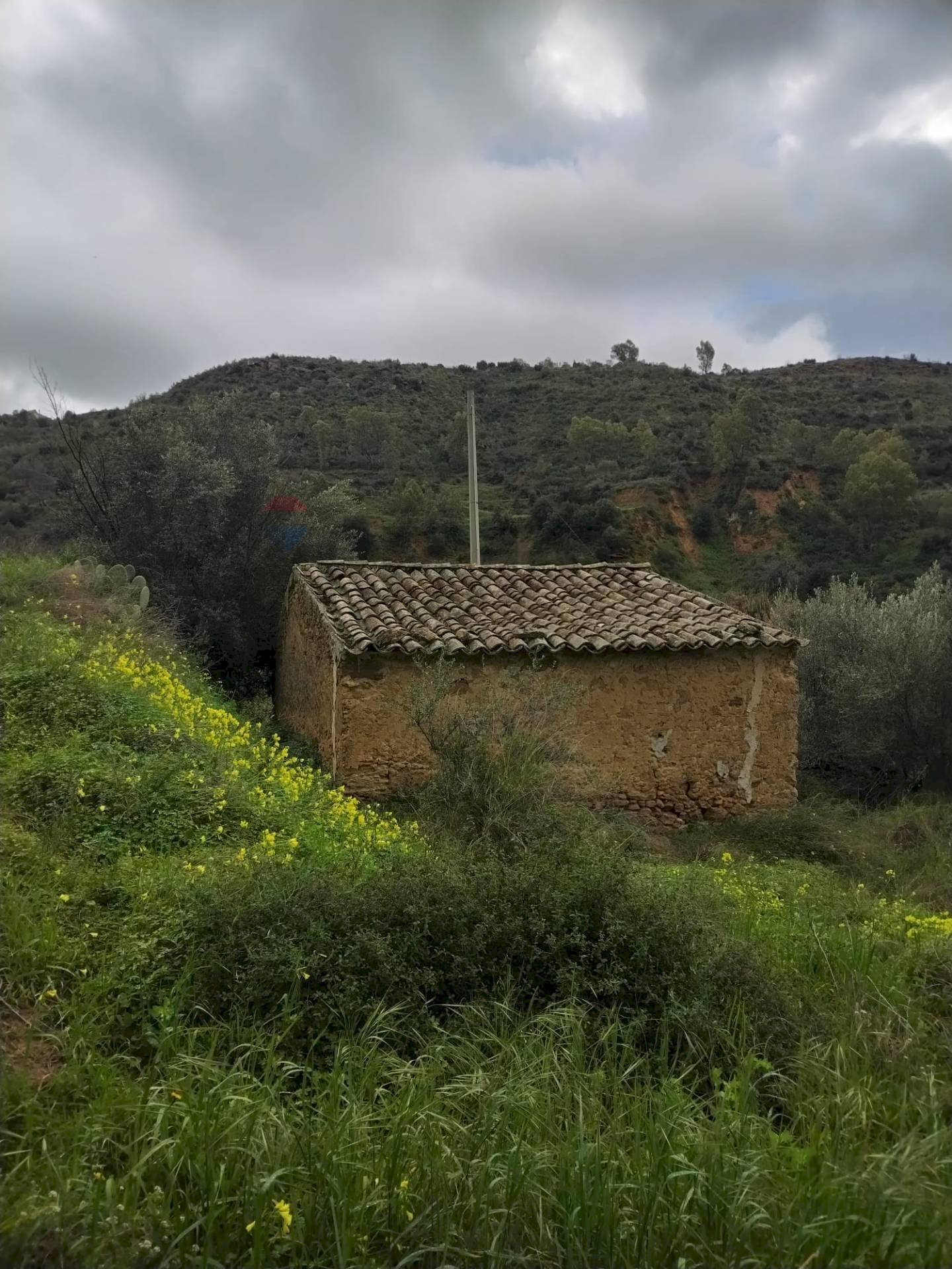 Vista delle montagne - Rustic Contrada Terravecchia
 
snc, Grammichele - photo 3