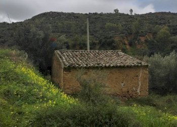 Vista delle montagne - Rustic Contrada Terravecchia
 
snc, Grammichele - photo 3