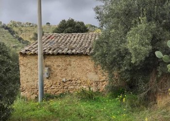 Giardino - Rustic Contrada Terravecchia
 
snc, Grammichele - photo 6