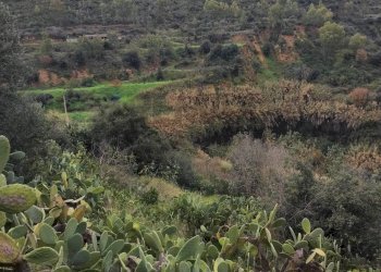 Vista delle montagne - Rustic Contrada Terravecchia
 
snc, Grammichele - photo 7