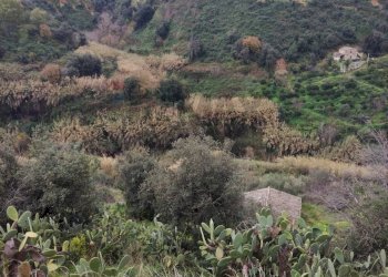 Vista delle montagne - Rustic Contrada Terravecchia
 
snc, Grammichele - photo 8