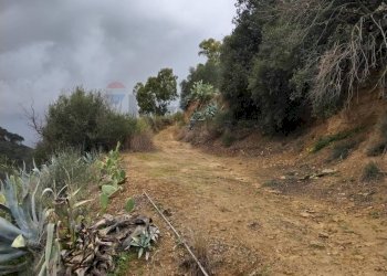 Giardino - Rustic Contrada Terravecchia
 
snc, Grammichele - photo 10