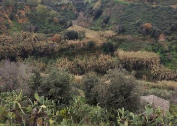 Vista delle montagne - Rustic Contrada Terravecchia
 
snc, Grammichele - photo 11