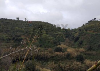 Vista delle montagne - Rustic Contrada Terravecchia
 
snc, Grammichele - photo 12