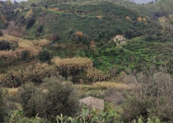 Vista delle montagne - Rustic Contrada Terravecchia
 
snc, Grammichele - photo 13