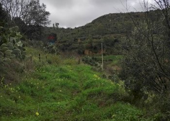 Vista delle montagne - Rustic Contrada Terravecchia
 
snc, Grammichele - photo 16