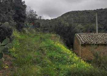 Vista delle montagne - Rustic Contrada Terravecchia
 
snc, Grammichele - photo 18