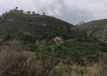 Vista delle montagne - Rustic Contrada Terravecchia
 
snc, Grammichele - photo 19