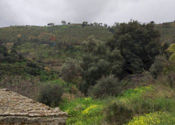 Vista delle montagne - Rustic Contrada Terravecchia
 
snc, Grammichele - photo 20