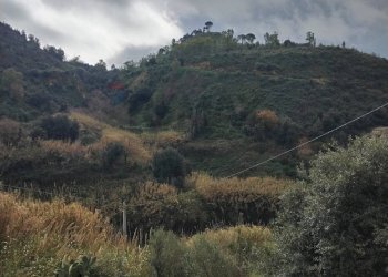 Vista delle montagne - Rustic Contrada Terravecchia
 
snc, Grammichele - photo 22