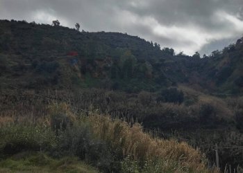 Vista delle montagne - Rustic Contrada Terravecchia
 
snc, Grammichele - photo 23