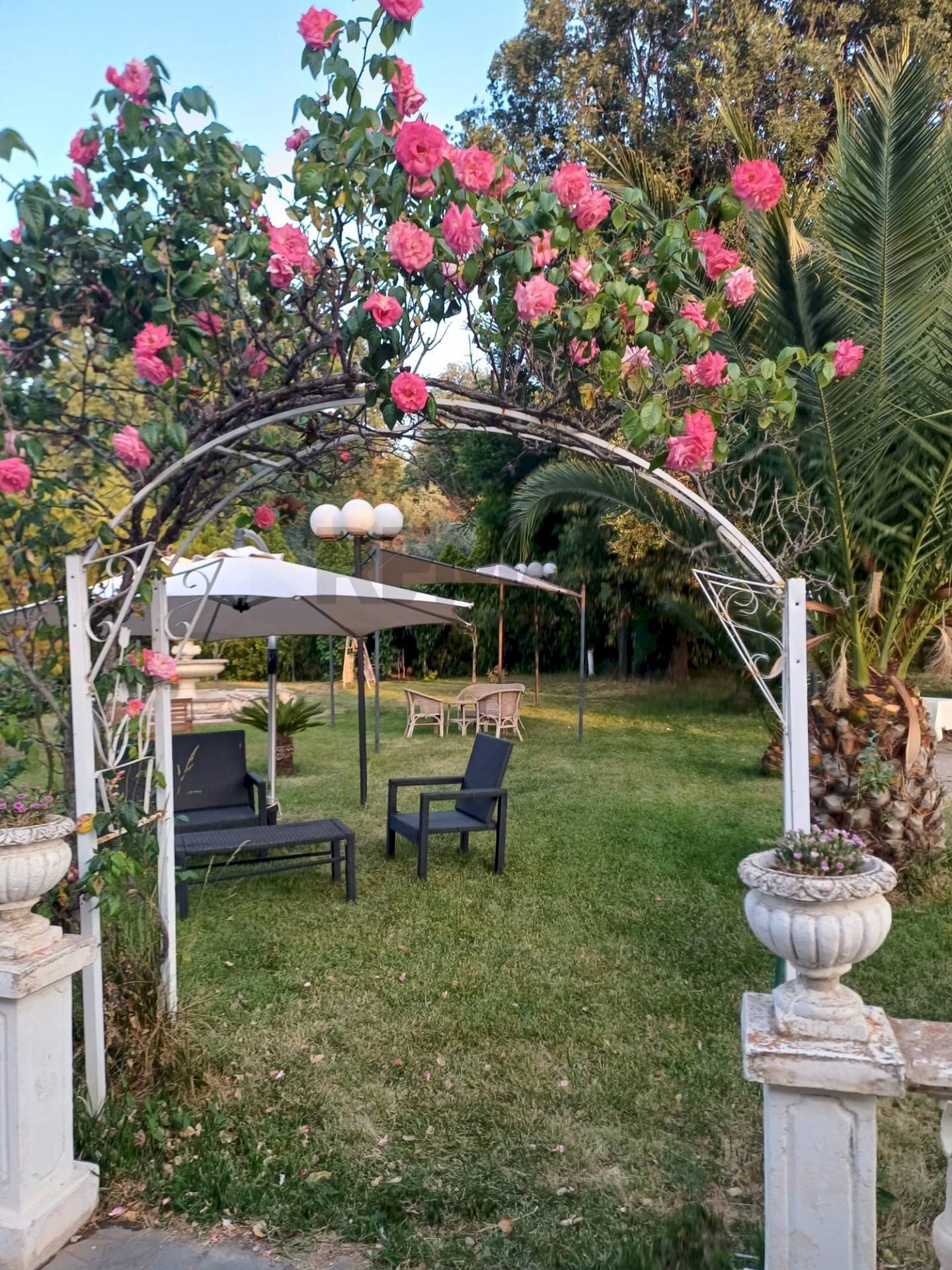 Giardino - Hotel Contrada Scilò Vigneti
snc, Adrano - foto 3