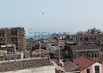 Edificio all\'aperto - Quadrilocale Via Alfonzetti
 
73, Catania - foto 21