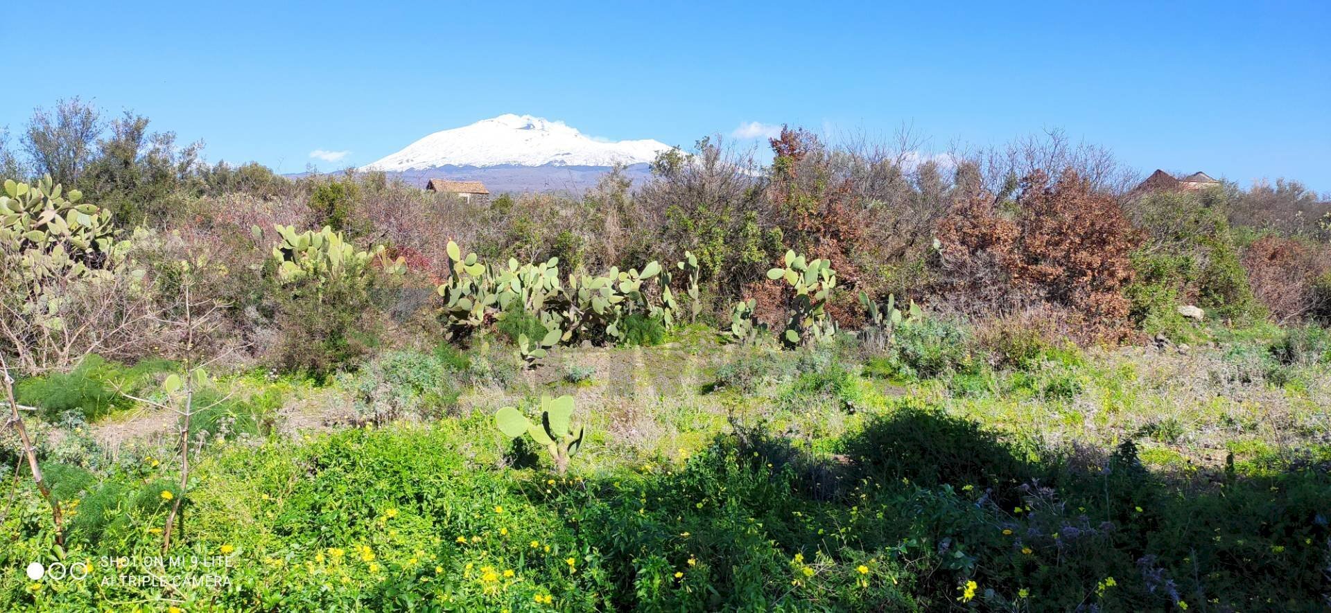 Vista delle montagne - Terreno agricolo Contrada scalilli
 
snc, Paterno - foto 1