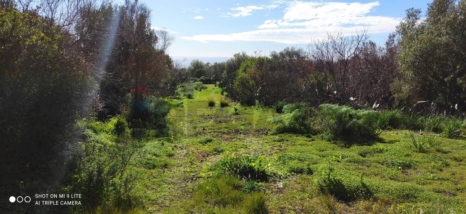 Giardino - Terreno agricolo Contrada scalilli
 
snc, Paterno - foto 3