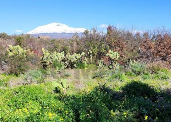 Vista delle montagne - Terreno agricolo Contrada scalilli
 
snc, Paterno - foto 1