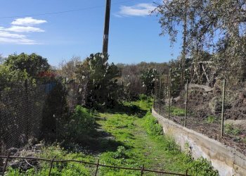 Giardino - Terreno agricolo Contrada scalilli
 
snc, Paterno - foto 2