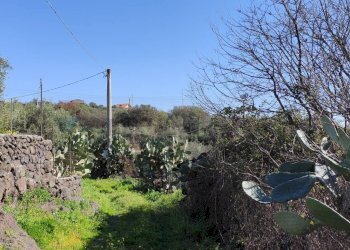 Giardino - Terreno agricolo Contrada scalilli
 
snc, Paterno - foto 11