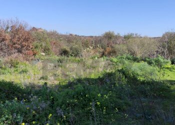 Vista delle montagne - Terreno agricolo Contrada scalilli
 
snc, Paterno - foto 17