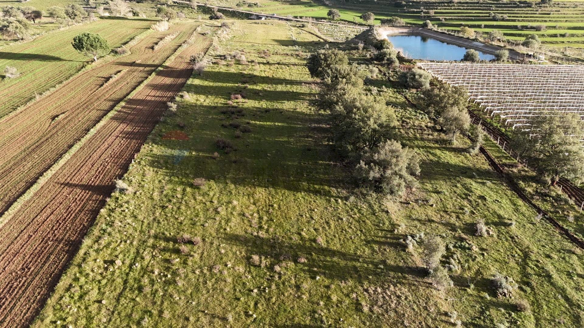 Giardino - Agricultural land contrada vaito
 
snc, Caltagirone - photo 1