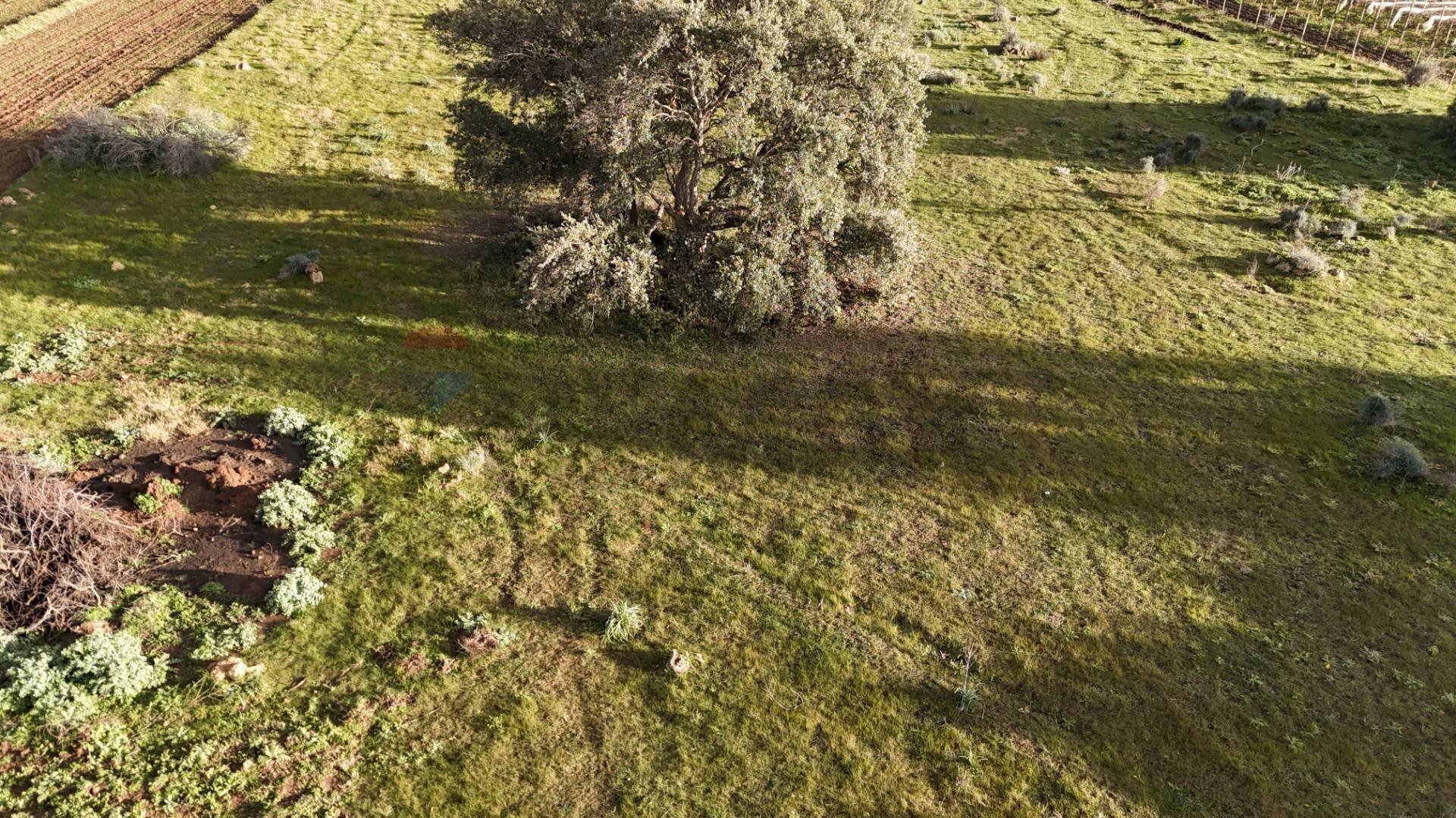 Giardino - Agricultural land contrada vaito
snc, Caltagirone - photo 3