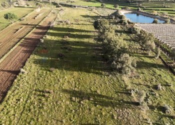 Giardino - Agricultural land contrada vaito
snc, Caltagirone - photo 1