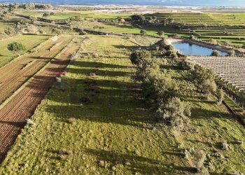 Vista dell\'acqua - Agricultural land contrada vaito
snc, Caltagirone - photo 2