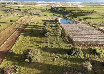 Casa all\'aperto - Agricultural land contrada vaito
snc, Caltagirone - photo 5