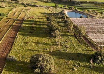Vista delle montagne - Agricultural land contrada vaito
snc, Caltagirone - photo 6
