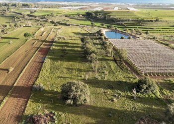 Casa all\'aperto - Agricultural land contrada vaito
snc, Caltagirone - photo 7