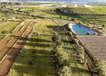 Piscina - Agricultural land contrada vaito
snc, Caltagirone - photo 8