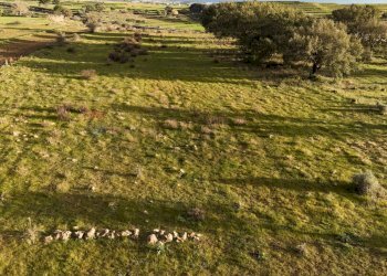 Giardino - Agricultural land contrada vaito
snc, Caltagirone - photo 9