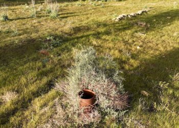 Vista delle montagne - Agricultural land contrada vaito
snc, Caltagirone - photo 10