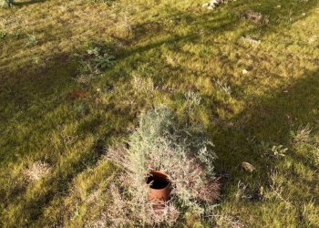 Vista delle montagne - Agricultural land contrada vaito
snc, Caltagirone - photo 11