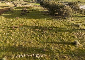 Vista delle montagne - Agricultural land contrada vaito
snc, Caltagirone - photo 12